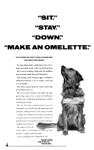 Guide Dogs - Omelette